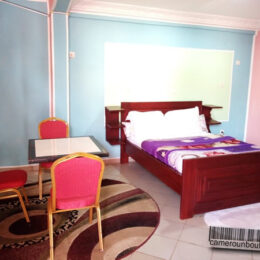 Chambre meublée climatisée à Biyem Assi