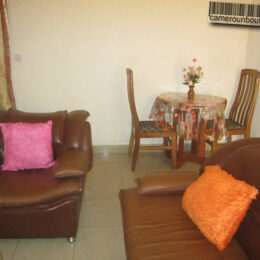 Studio meublé F2 Gendarmerie Odza à Yaoundé